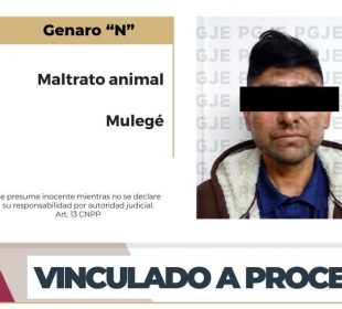 Vinculan a proceso a Genaro N por maltrato animal