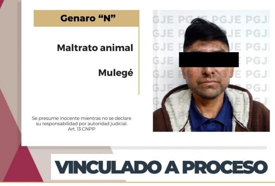 Vinculan a proceso a Genaro N por maltrato animal