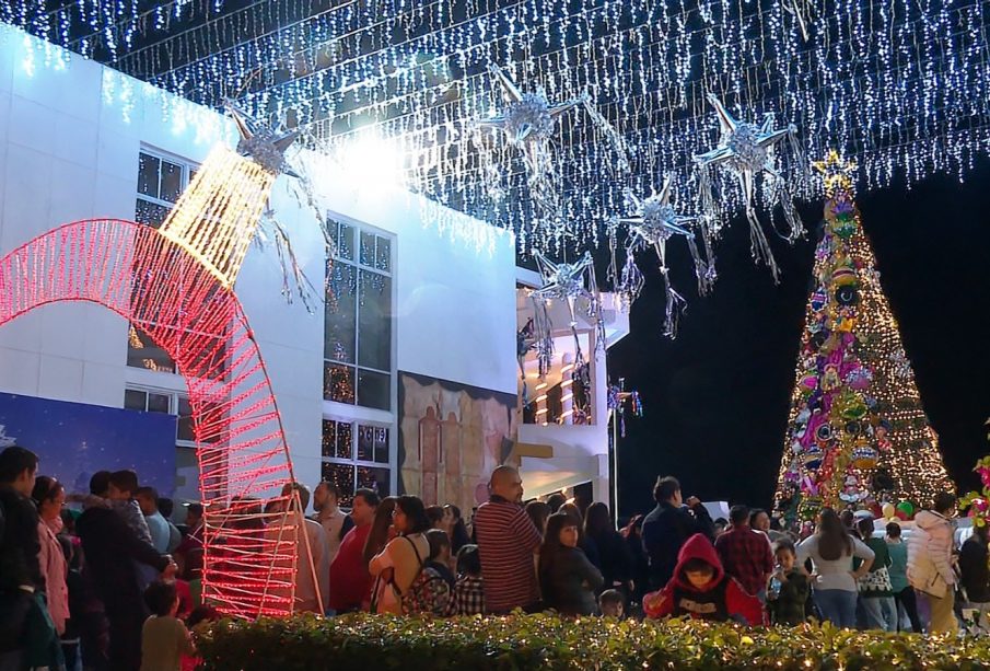 Instalan árbol de Navidad en palacio municipal de La Paz