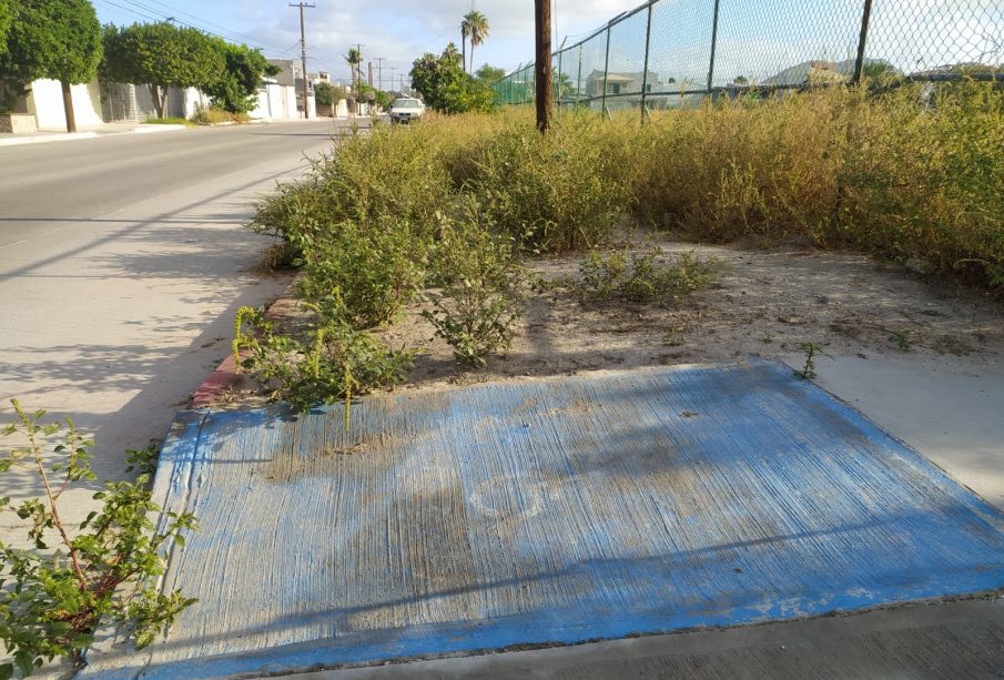 Paso peatonal es obstruido por maleza