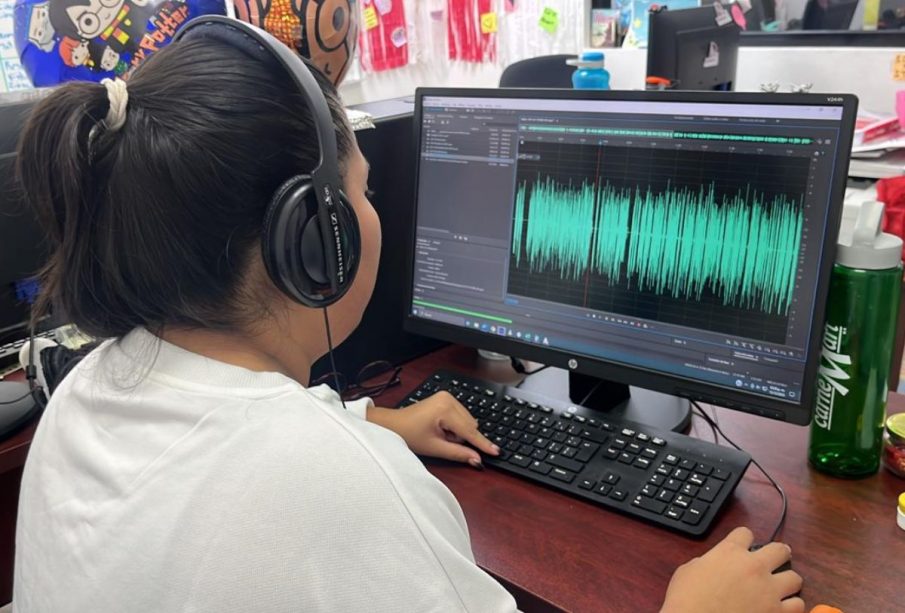 Mujer trabajando frente a computadora