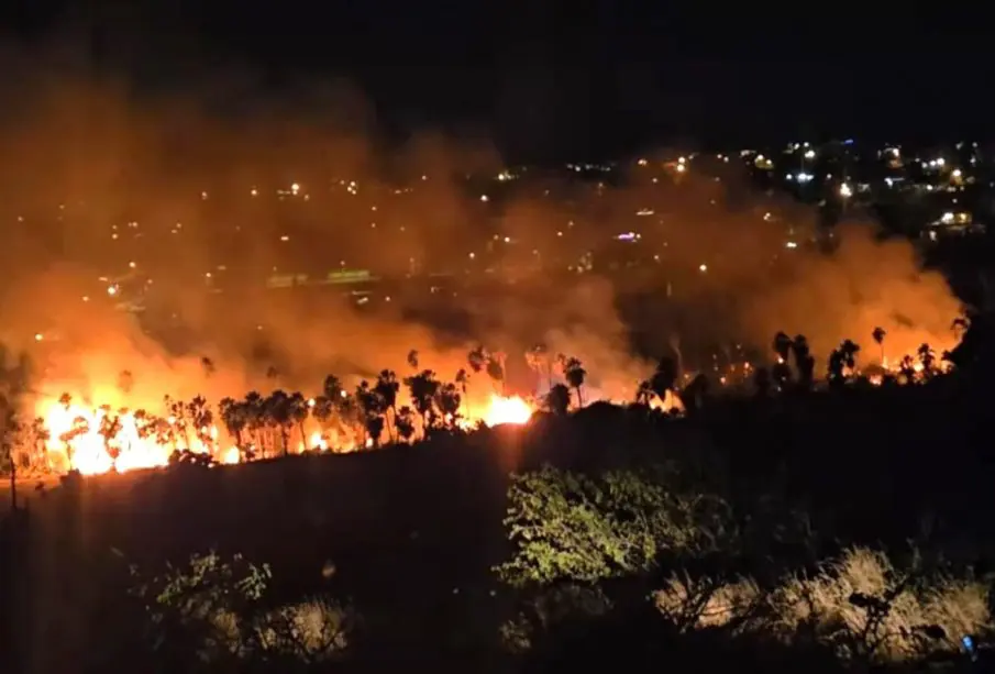 Incendio en palmares