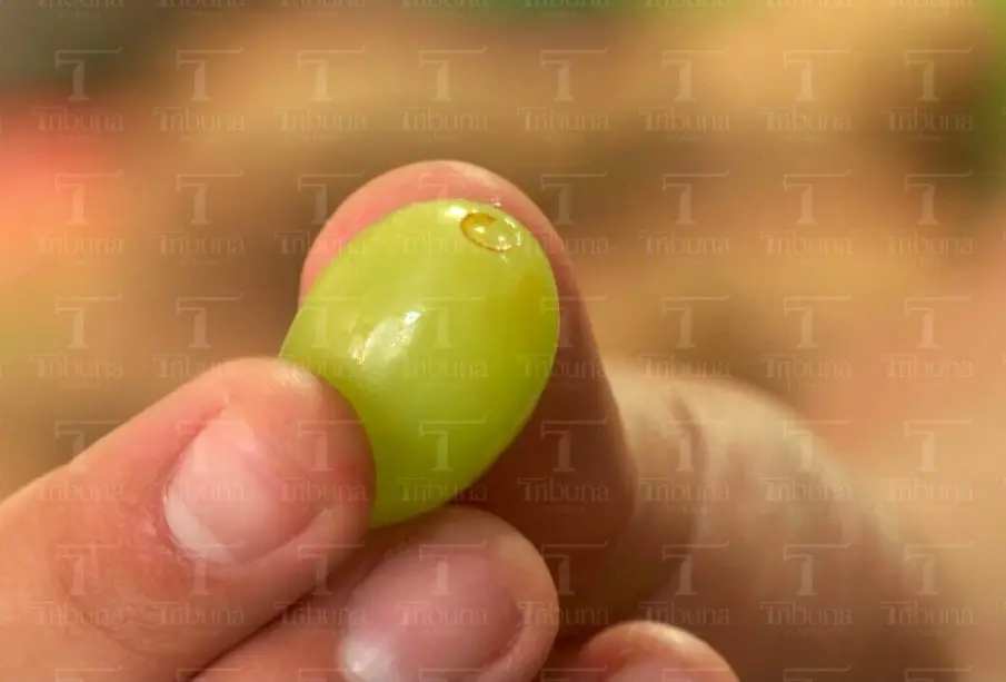 Consumo de uvas
