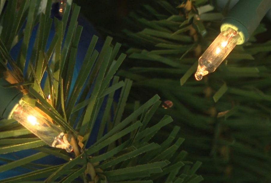 luces navideñas en árbol de navidad