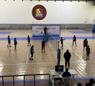 Torneo de voleibol