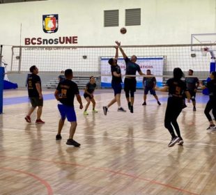 Torneo de voleibol