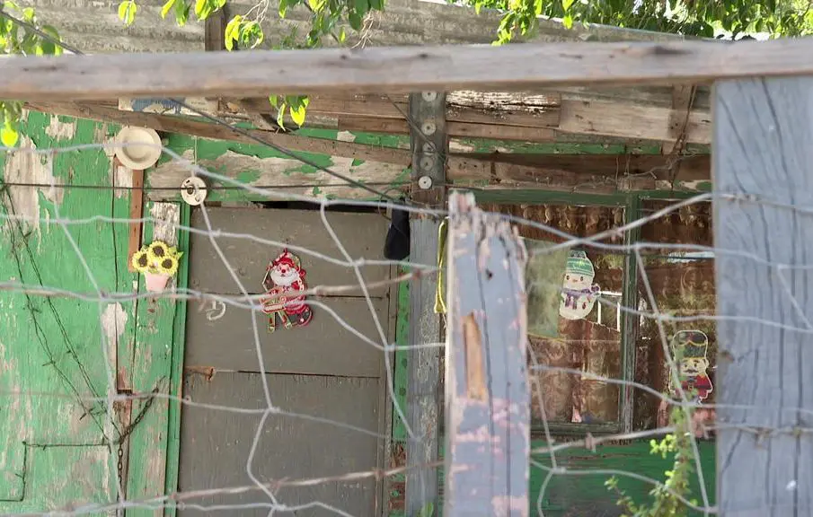 Vivienda de madera