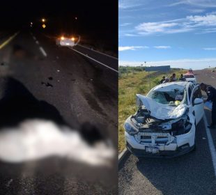 Accidente por ganado suelto