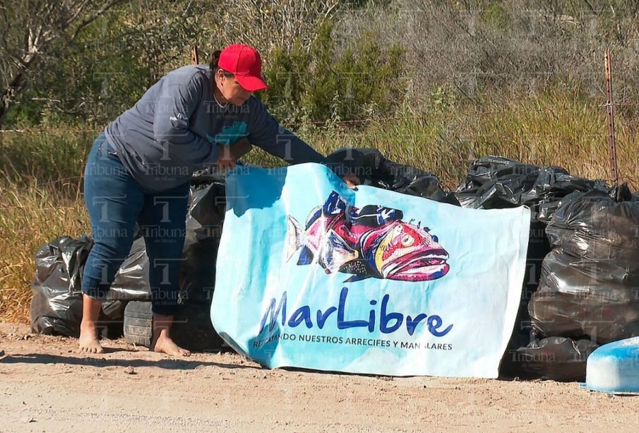 Basura del manglar Zacatecas