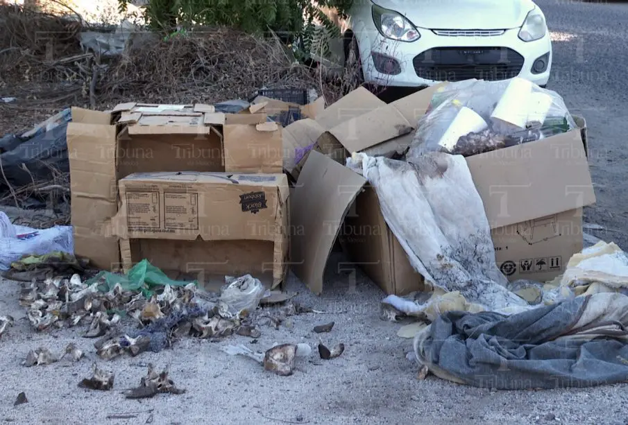 Basura en banqueta
