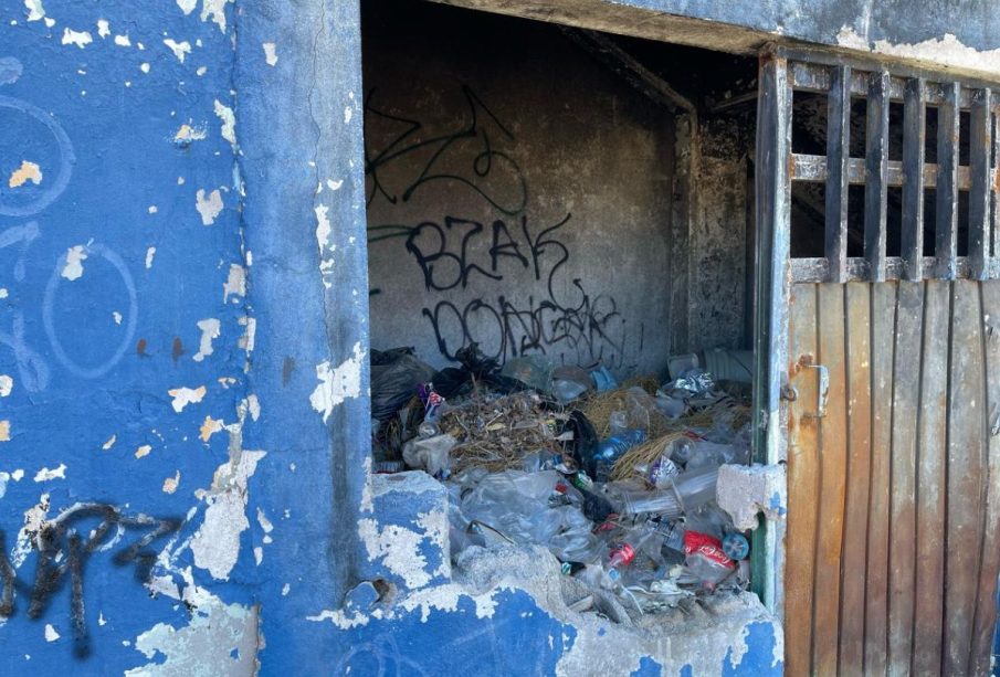 Basura en campo de Agustín Olachea