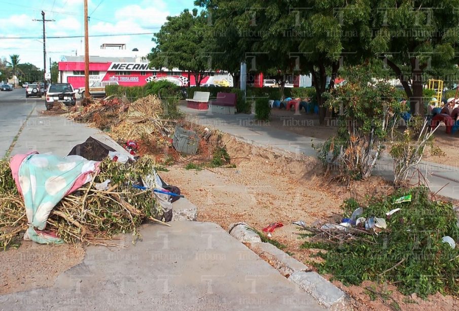 Basura tirada en banqueta