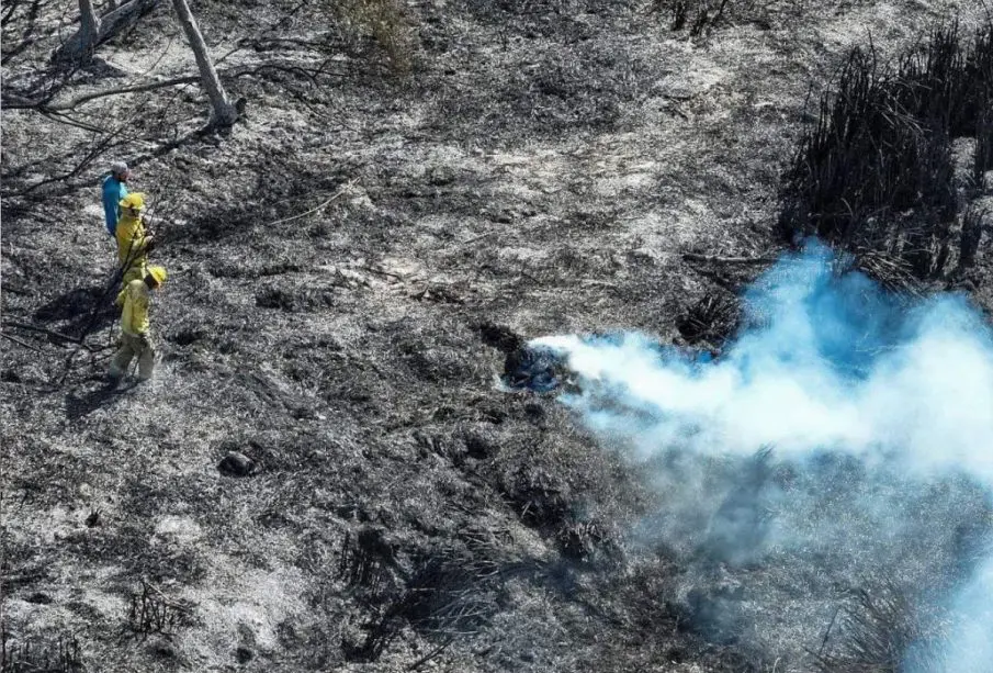 Bomberos apagando incendio en estero