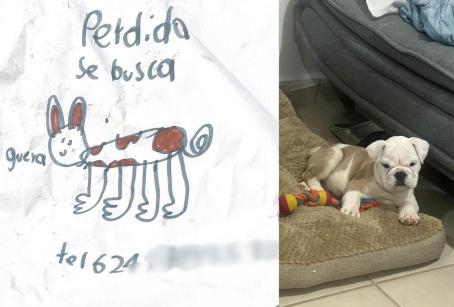 Dibujo de un niño buscando a su perro