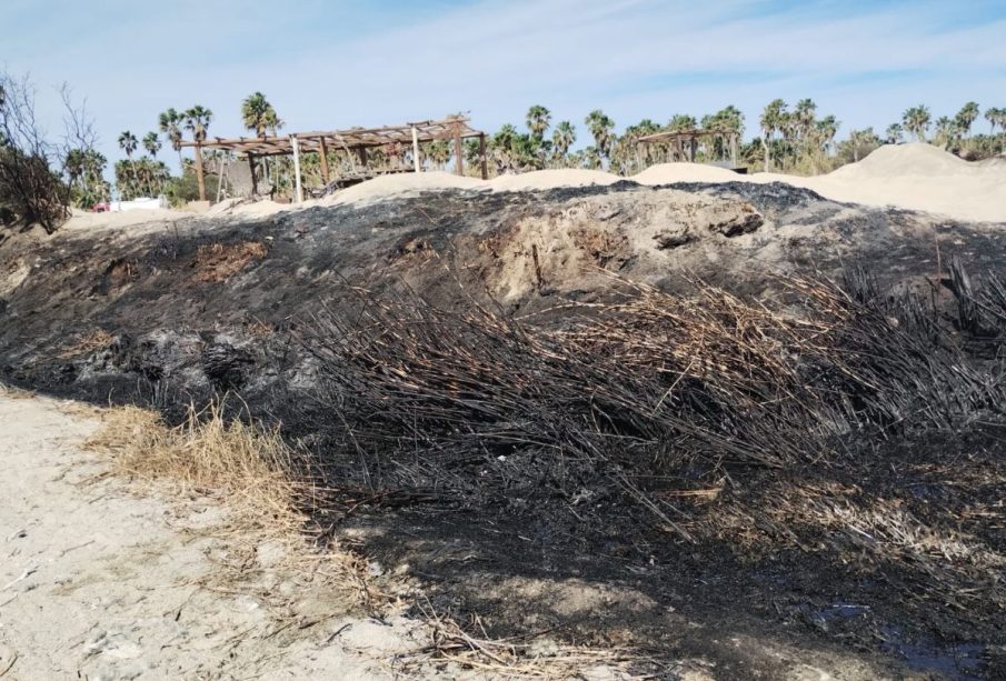 Estero San José incendiado