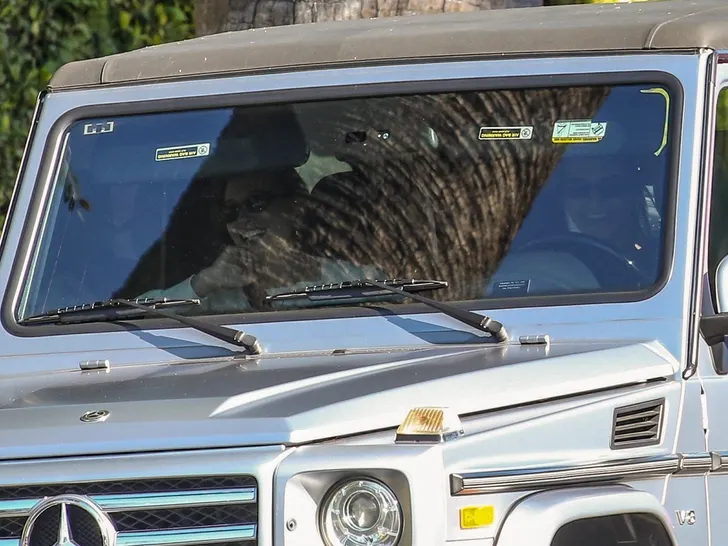 Hailey Bieber y Kendall Jenner detenidas en Beverly Hills