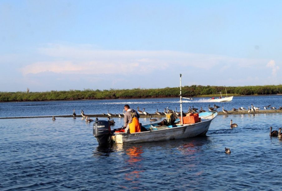 Hombre pescando