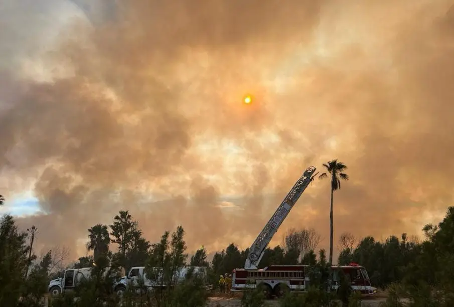 Incendio en estero josefino