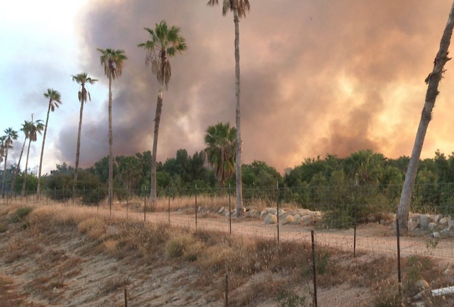 Incendio en Estero de San José del Cabo