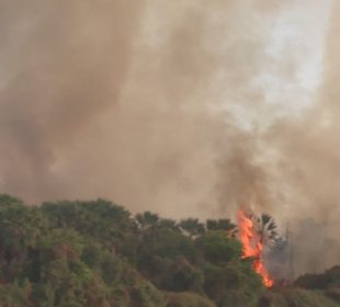 Incendio en el Estero de San José del Cabo