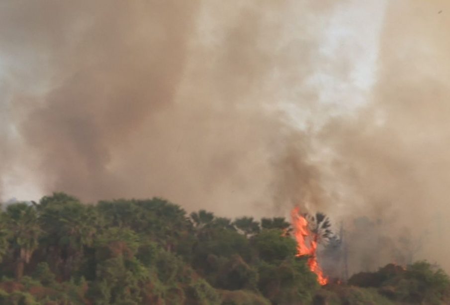 Incendio en el Estero de San José del Cabo