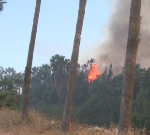 Incendio en estero de SJC