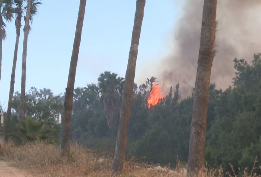 Incendio en estero de SJC