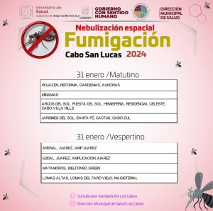 Inicia campaña de fumigación contra mosco transmisor del dengue 