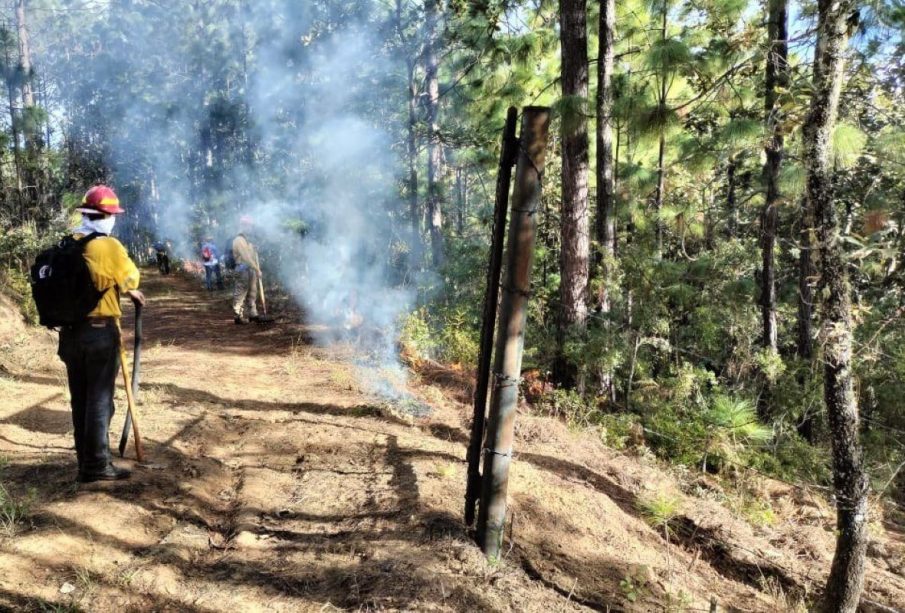 Se debe estar prevenido ante posiblles incendios forestales durante la temporada de estiaje