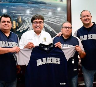 Liga Mexicana de Besibol