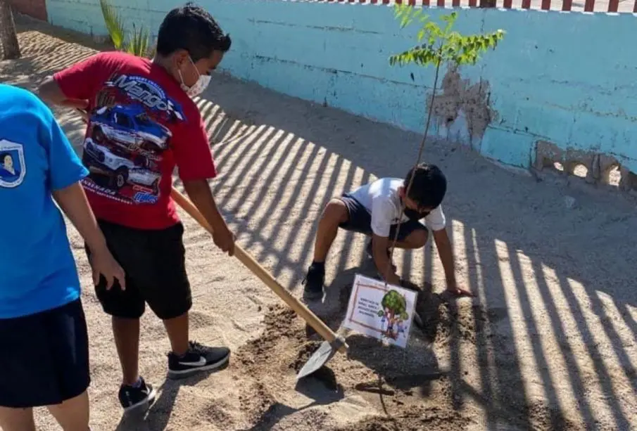 Niños plantando árboles