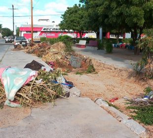 Parque es usado como basurero