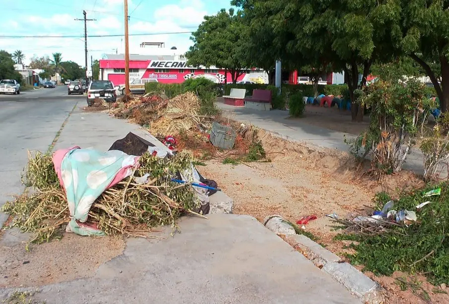 Parque es usado como basurero