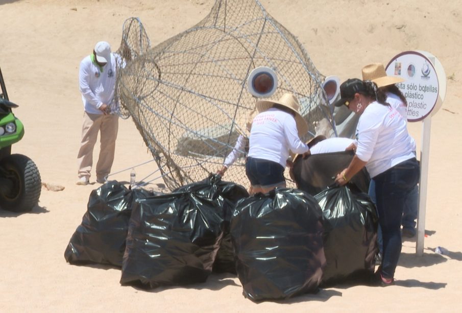 Personal de Zofemat recolectando basura en playas