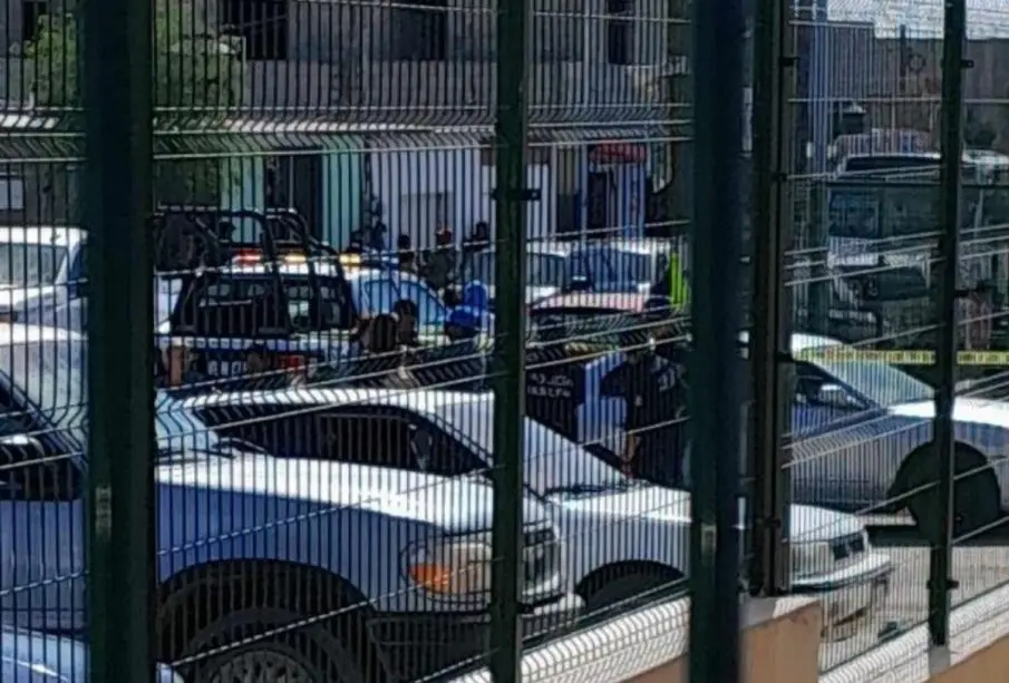 Policía en colonia Palmas