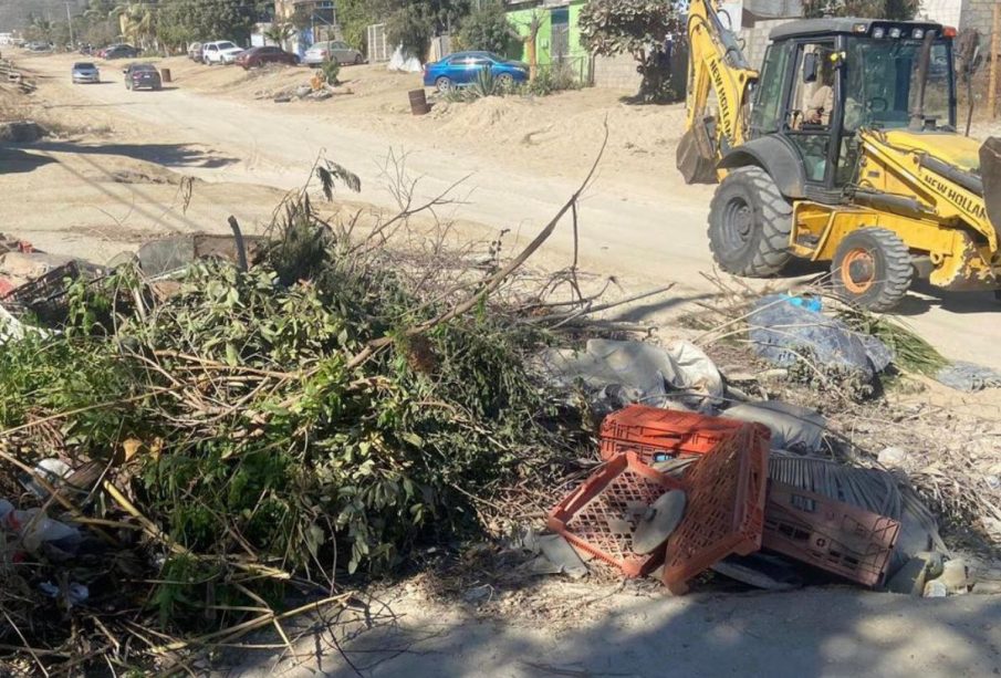 Ramas y basura en Los Cabos