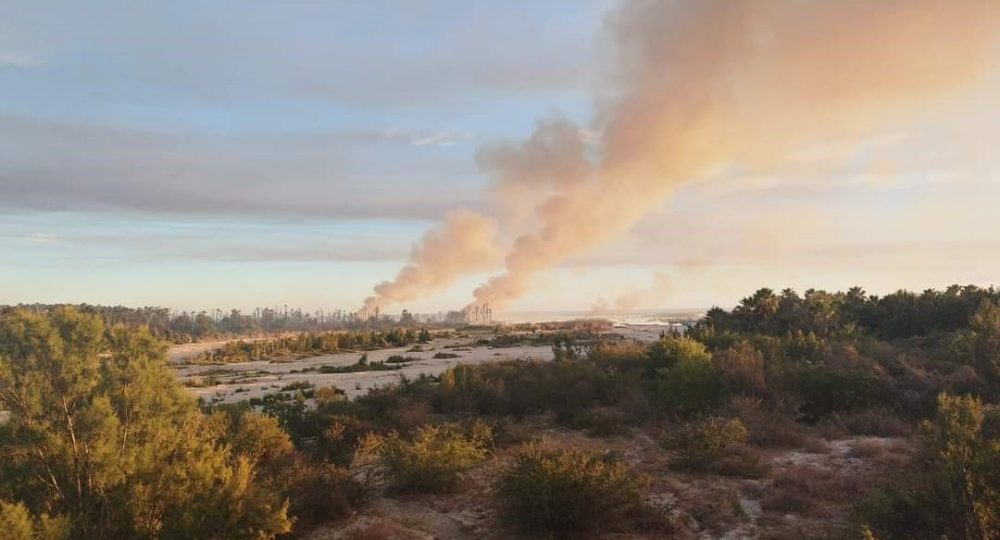 Sofocan incendio en estero