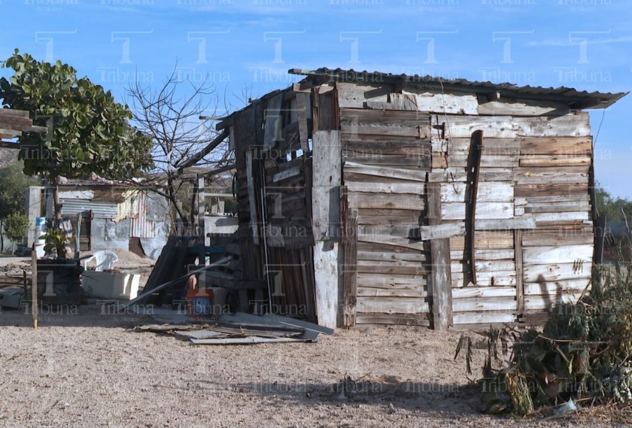 Vivienda de madera en Márquez de León