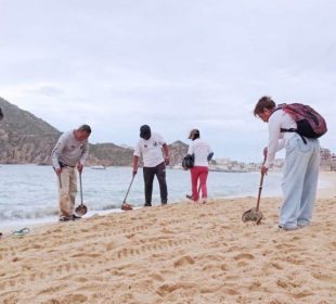 ZOFEMAT limpiando playas de Los Cabos