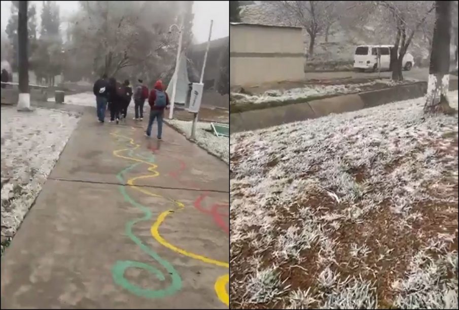 Nevadas en Coahuila.