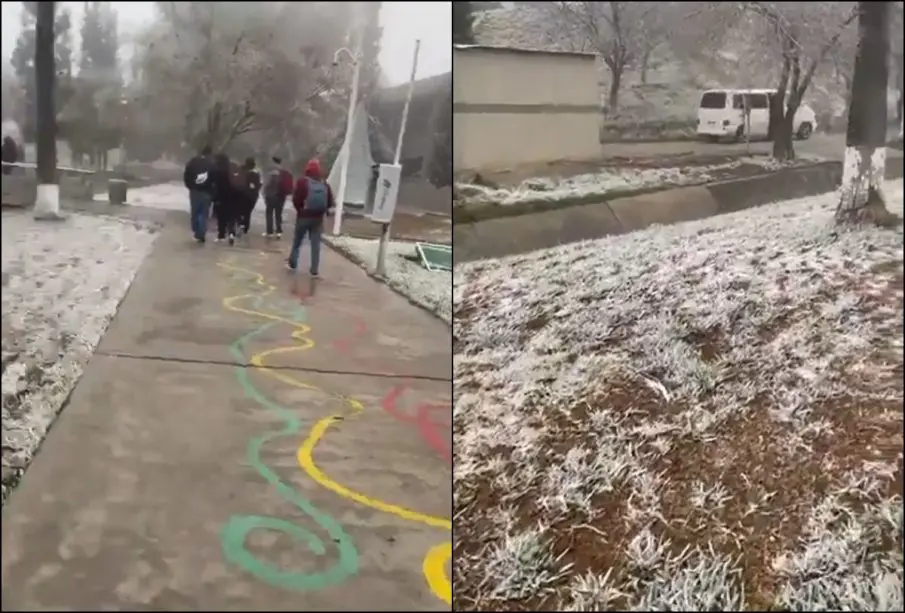 Nevadas en Coahuila.
