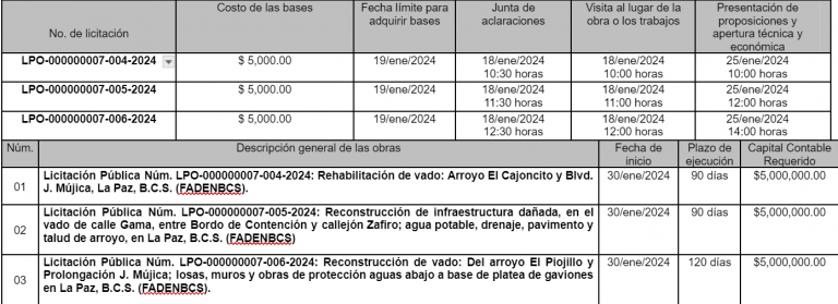 Convocatoria 01 Dirección de Precios Unitarios