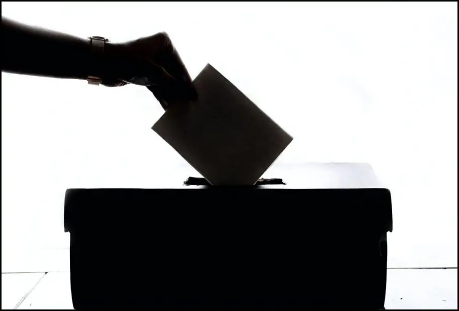 Elecciones 2024.