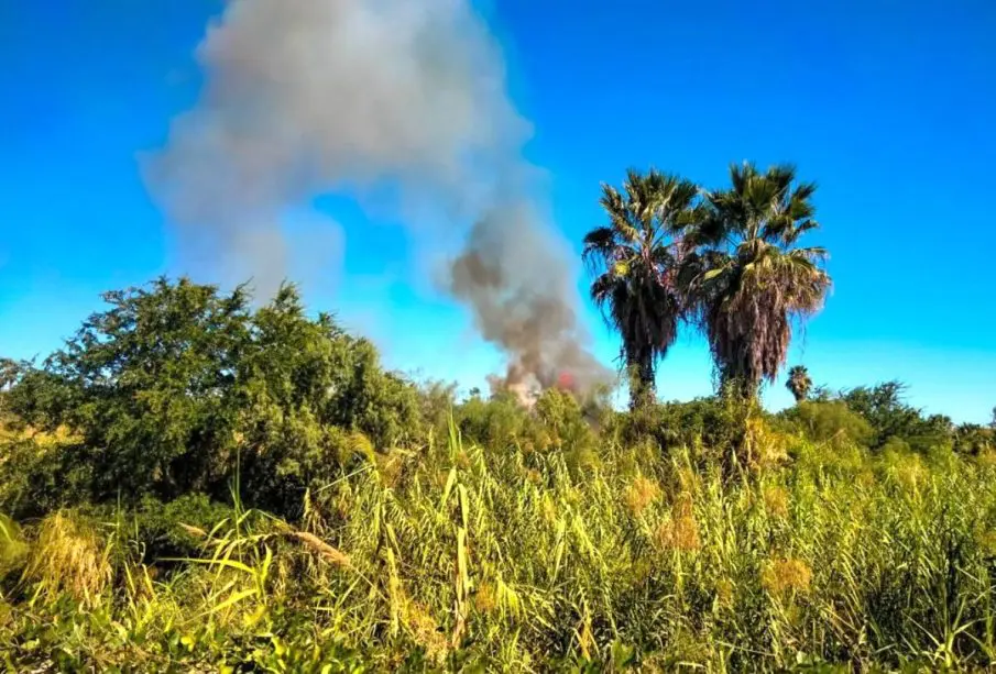 Incendio en San José del Cabo