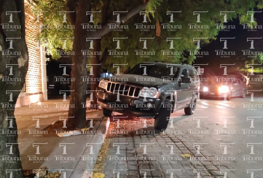 Asistentes al carnaval se estacionan mal