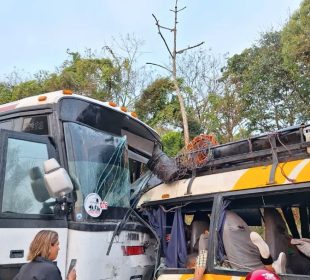 Dos camiones impactados entre sí de frente