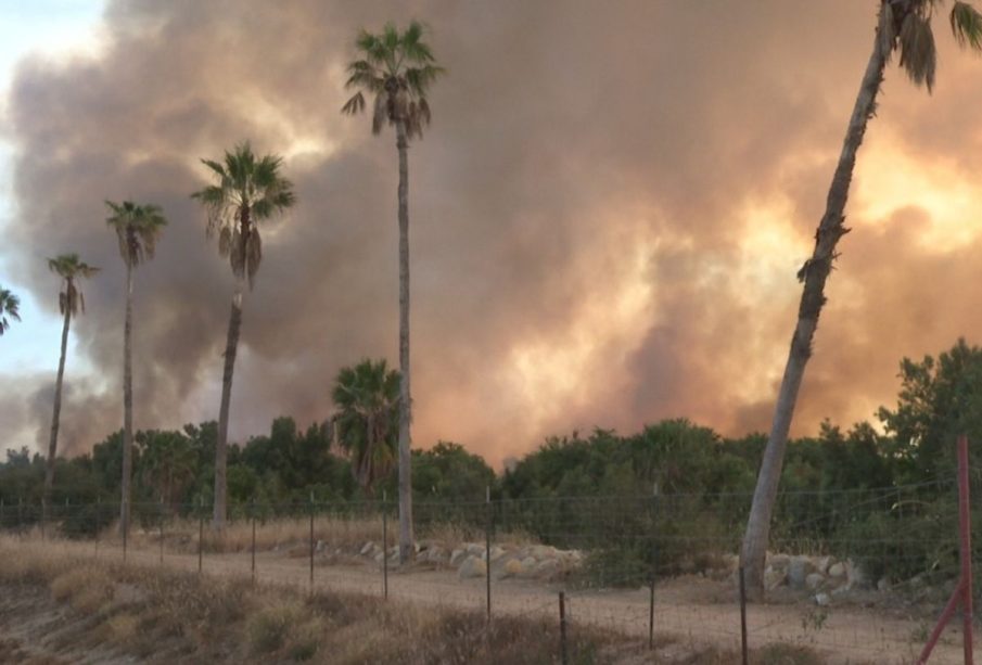 Incendio en estero de SJC