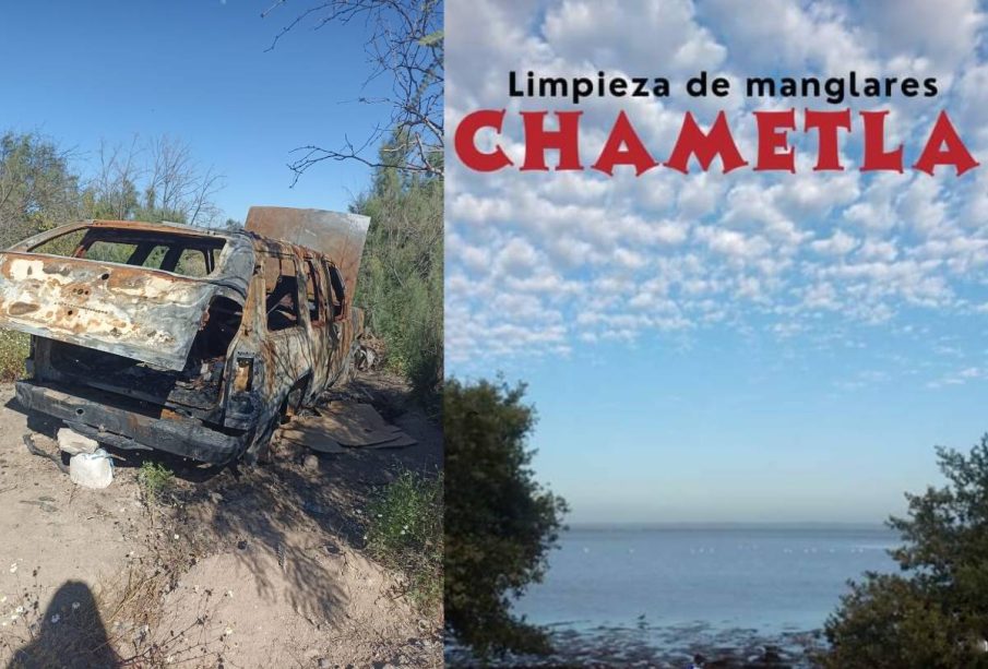 Limpieza en manglar