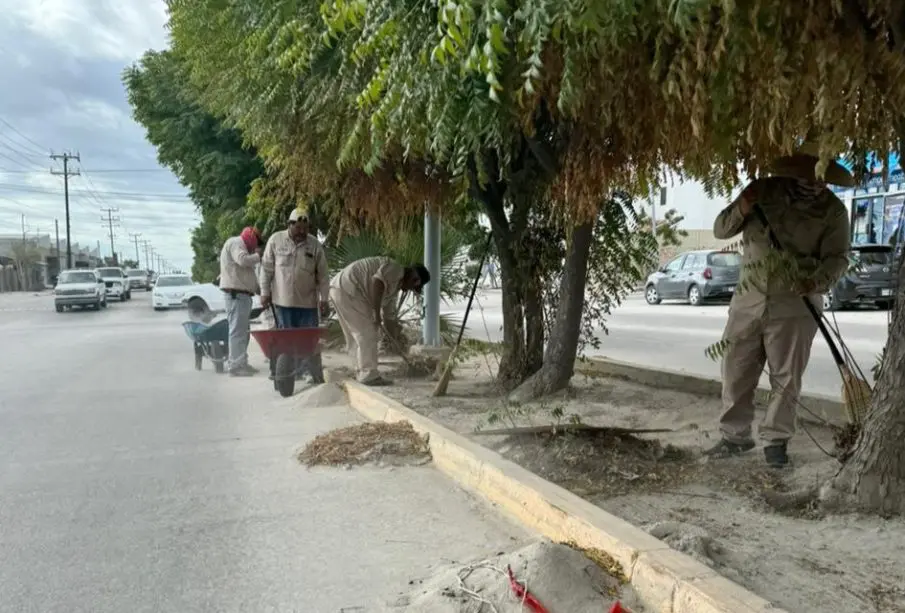Realizan limpieza