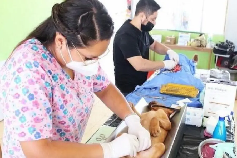 Salud aplicó más de 11 mil cirugías